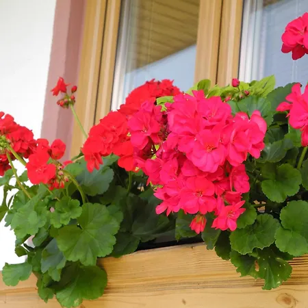 Apartment Am Tatscherlehen *