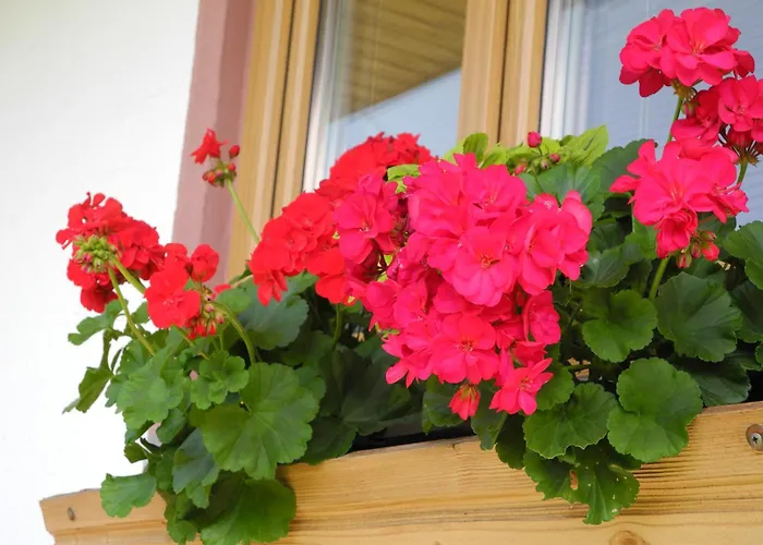 Apartamento Am Tatscherlehen *